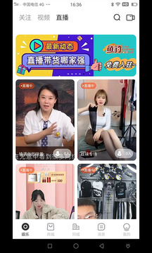 鱼豹直播