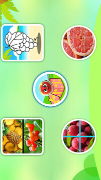 儿童益智切水果