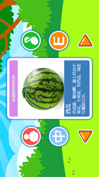 儿童益智切水果